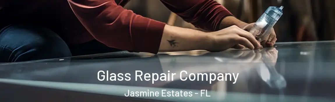  Glass Repair Company Jasmine Estates - FL