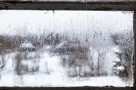Defogging Double Pane Windows in Jasmine Estates, FL
