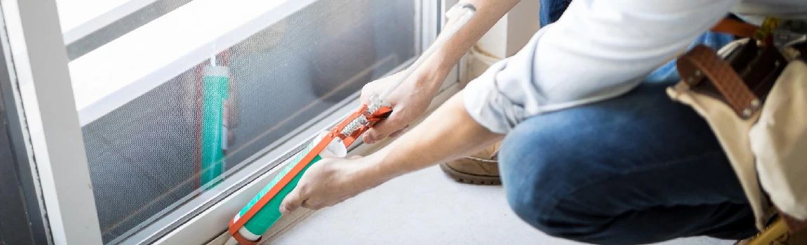Emergency Window Replacement Services in Jasmine Estates, FL