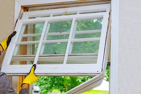 Window Replacement in Jasmine Estates, FL