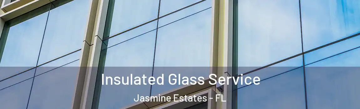  Insulated Glass Service Jasmine Estates - FL